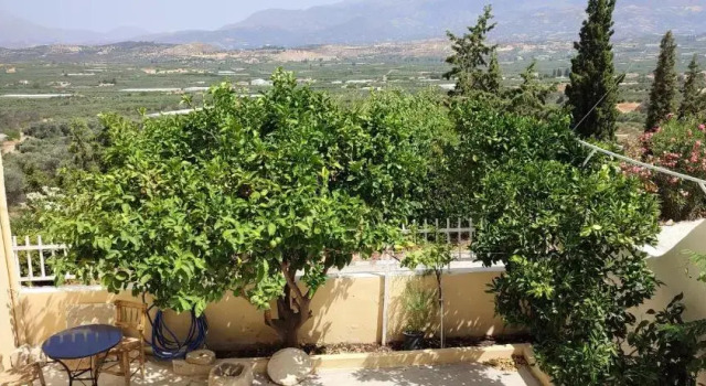 Serenity Courtyard village apartment