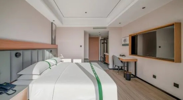 Люкс Business GreenTree Inn Express Hotel (Jiulong Hui Liqun Shopping Plaza)