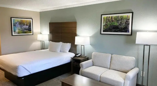 Одноместный номер Deluxe Roadstar Hotel Zephyrhills