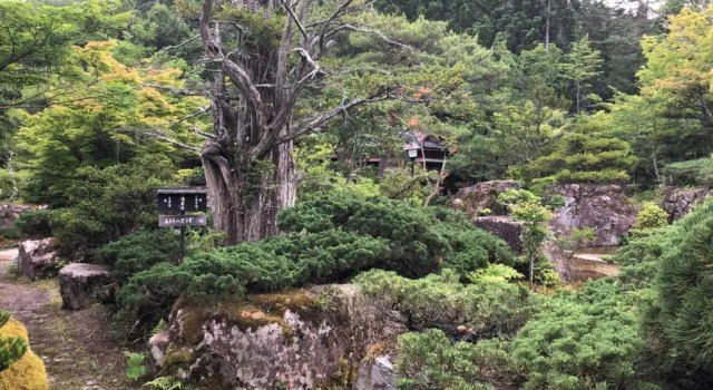 Коттедж Shohakuen