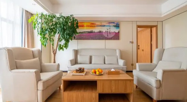 Люкс Business Vienna 3 Best Hotel (Huai'an Huaiyin Normal University North Bus Station)