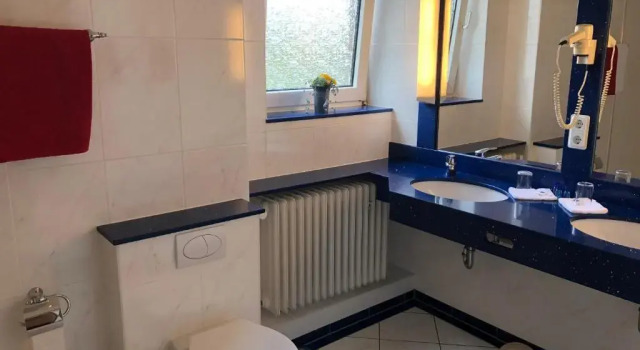 Двухместный номер Standard Hotel Haus am Rieth