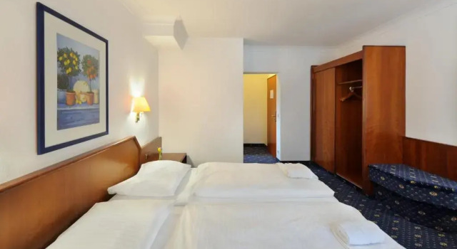 Двухместный номер Economy Ambassador Parkhotel