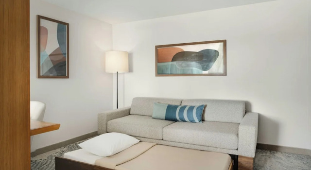 Люкс с видом на парк SpringHill Suites by Marriott Chicago Southeast/Munster, IN