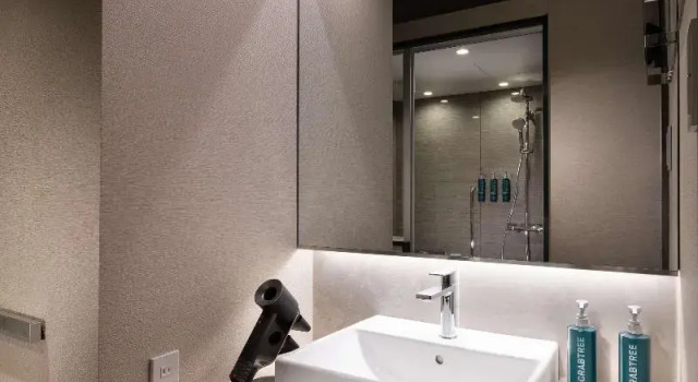 Двухместный номер Executive DoubleTree by Hilton Kyoto Station