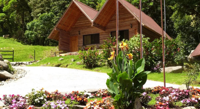 Номер Standard TREE TREK BOQUETE Adventure Park
