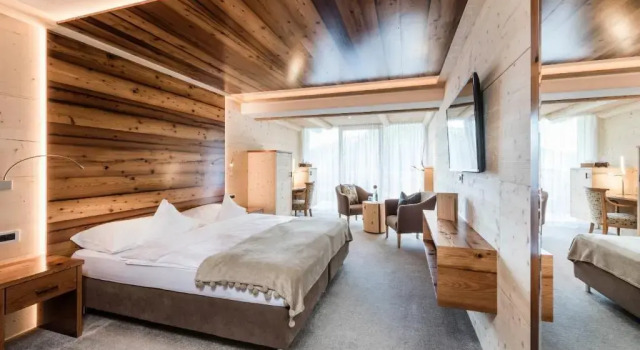 Номер Standard Hotel Portillo Dolomites 1966