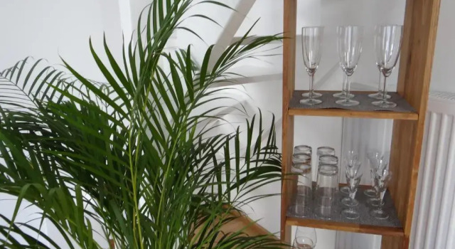 Апартаменты c 1 комнатой с балконом Ferienapartments Am Steinfelder Hof