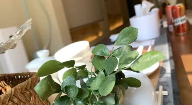 Yuansu, Book Hotel Taiyuan Shanxi