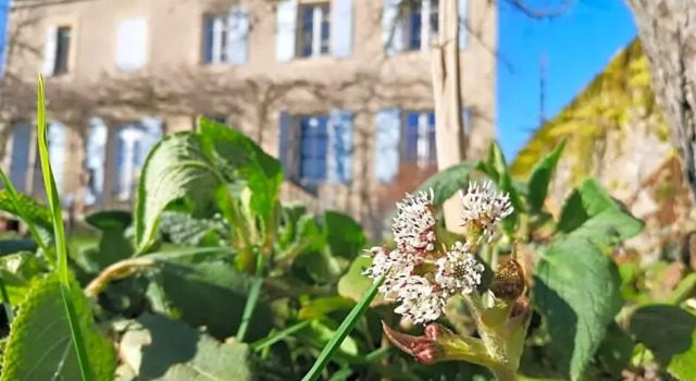 Le Temps Serein, Buchen Sie Hotel Vabre-Tizac 