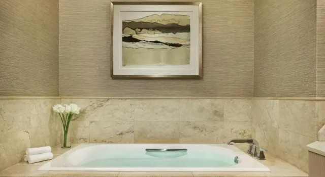 Двухместный номер Standard The Ritz-Carlton, Denver