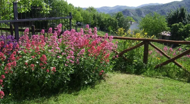 Апартаменты Agriturismo Il Falco del Monte Fumaiolo
