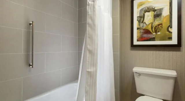 Четырёхместный люкс DoubleTree Suites by Hilton Nashville Airport
