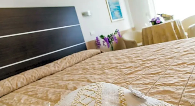 Номер Superior Renzo Hotel