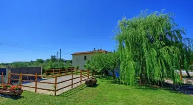 Casa Violina