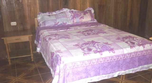 Amazon Eco Tours & Lodge