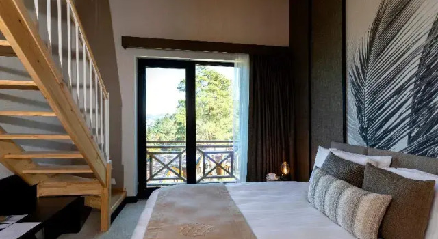 Четырёхместный номер Standard Дуплекс Hancioglu Orman Evleri & Hotel
