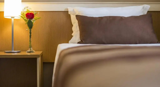Двухместный номер Premium Astron Hotel Bauru by Nobile