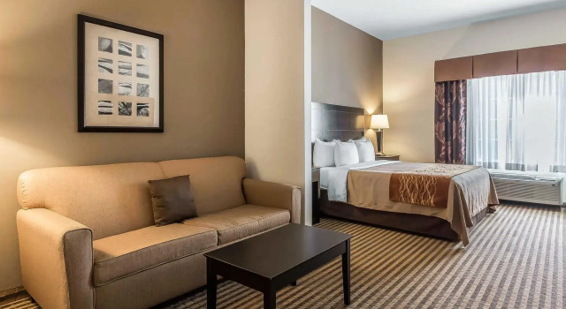 Люкс Comfort Inn & Suites near Bethel College