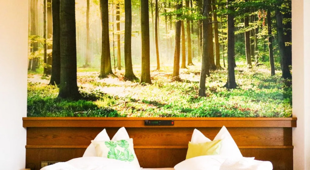 Двухместный номер Standard Guesthouse Pension Grafenstein