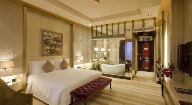Двухместный номер Deluxe с видом на город Chateau Star River Pudong Shanghai