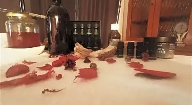 Brezza tra gli alberi
