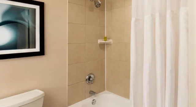 Люкс DoubleTree by Hilton Columbia