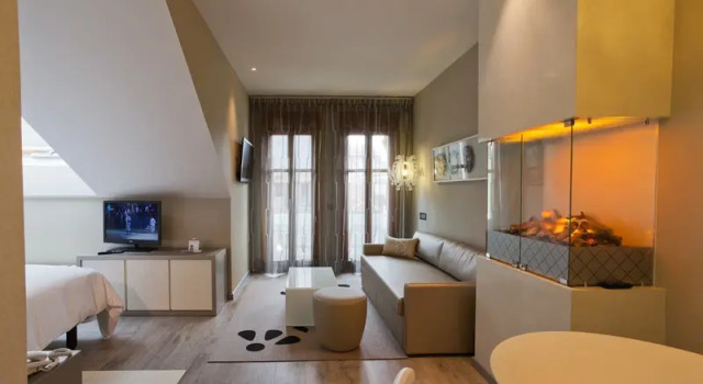 Номер Standard Hotel & Spa Princesa Munia