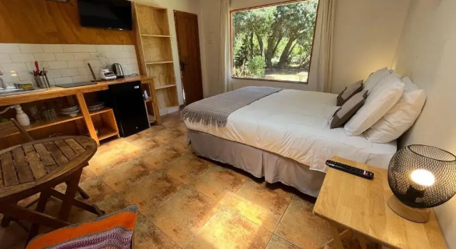 Студия Standard Eco Refugio El Arbol