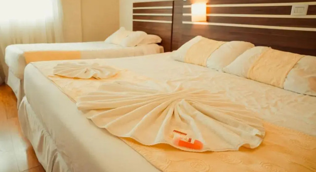 Номер Deluxe Hotel Imperial de Quatro Barras