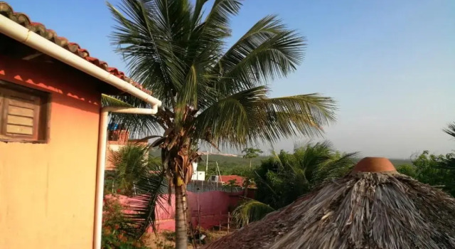 Четырёхместный номер Standard Casa do Jardim- Villa Botanica