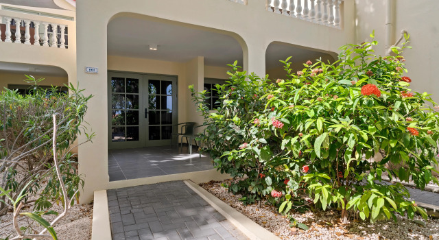 Двухместный номер Standard Sonesta Hotels & Resorts Livingstone Curacao