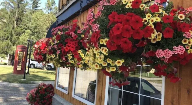 Piccadilly Motel, Boek Motel Hotels in Brits Columbia met parkeren, Parkeren
