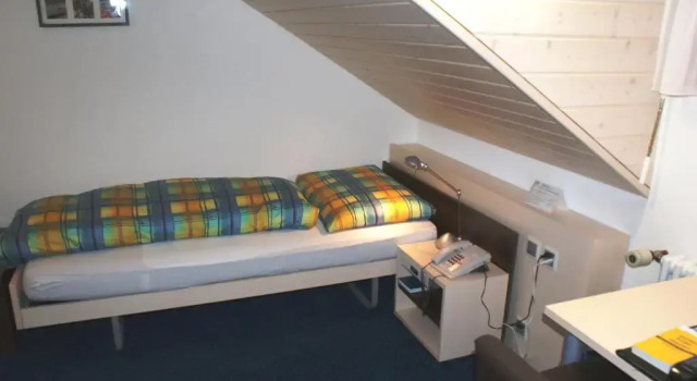 Номер Standard Ferien- und Familienhotel Alpina Adelboden