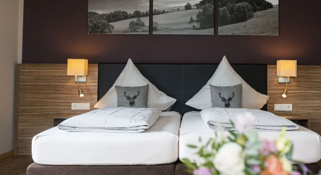 Двухместный номер Comfort с балконом Müller´s Landhotel