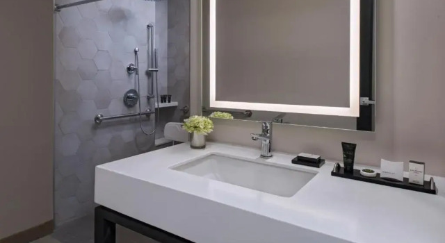Двухместный номер Deluxe Hyatt Centric Guatemala City