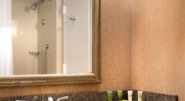Двухместный номер Standard Hilton Galveston Island Resort