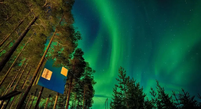 Капсула Treehotel