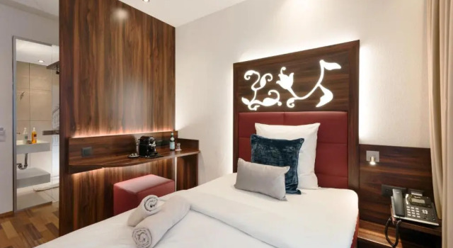 Одноместный номер Hotel Scheuble