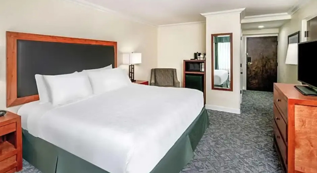 Standard- værelse Eagle Lodge and Suites