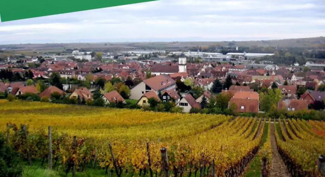 Апартаменты Auguste, La Romaine et My César - Location Saverne