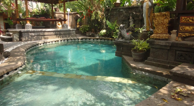 Monkey Forest Bungalow