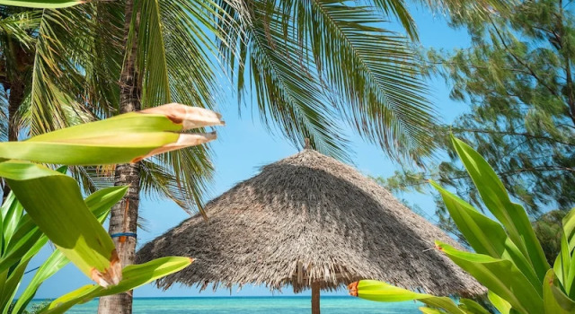 Вилла Luxury Xanadu Luxury Villas & Retreat Zanzibar