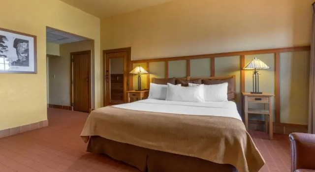 Двухместный номер Standard с видом на горы The Omni Grove Park Inn & Spa - Asheville