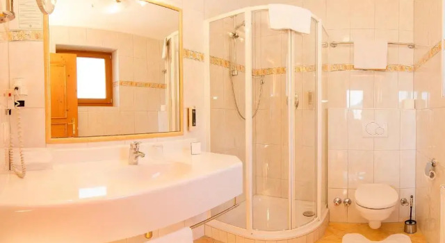 Одноместный номер Standard Alpenhotel Tirolerhof