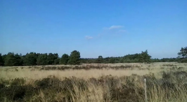 Bungalow With Garden, Located in a Natural Area, Varaa Hotelli Frederiksoord Drenthe