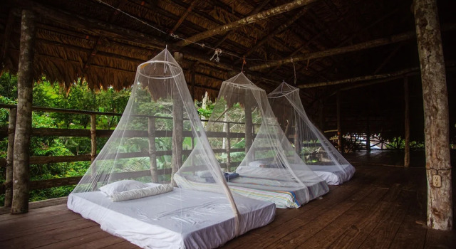 Номер Standard с балконом Ditsowou Lodge & Tours