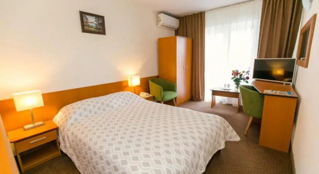Одноместный номер Standard с балконом Hotel Poienița