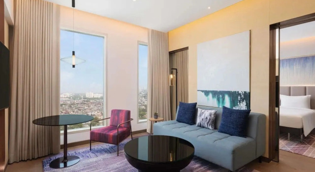 Полулюкс Novotel New Delhi City Centre