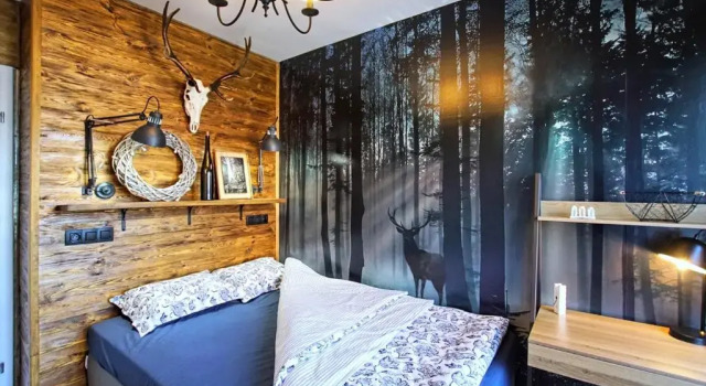Апартаменты Apartament Lipova